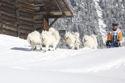 Kandersteg 2013